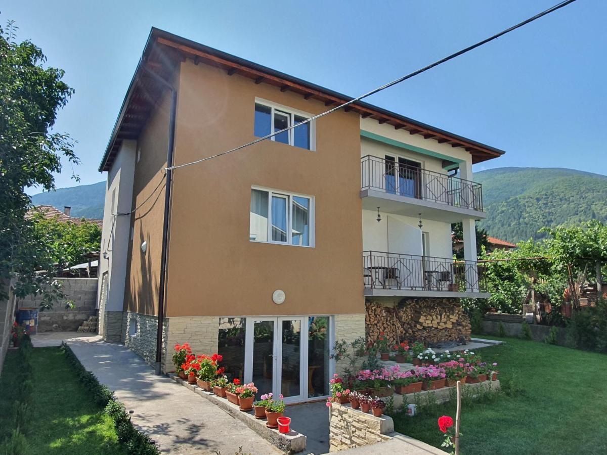 Hotel Дамяновата Къща Saparewa Banja Exterior foto